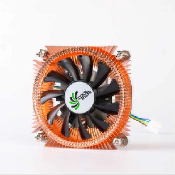 product-600-600